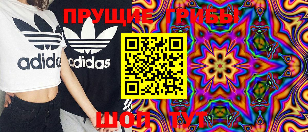 Галлюциногенные грибы Psilocybine cubensis  Псилоцибиновые грибы ЛСД  Вход с VPN  Унеча 